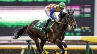 【ダイヤモンドS予想】3400mの先に輝く栄冠は 長距離×ハンデで難解な一戦