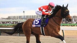 フェブラリーＳで注意すべきは展開が有利に働く古豪の一発　芝の実績馬や有力な地方所属馬には苦戦傾向あり