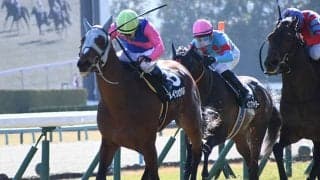 【つばき賞結果】メイショウタバルが接戦を制し2連勝