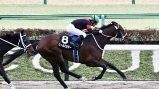 【金蹄S】断然人気クールミラボーがオープン入り…ルメール騎手は3連勝