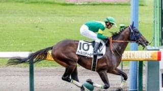 【フェブラリーS予想】混戦ムードの一戦！ 前走4角での位置取りに十分注意を