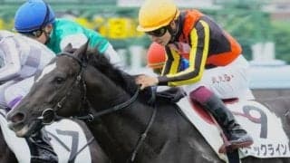 半姉は名牝ソングライン 良血馬が自己条件で巻き返し期す