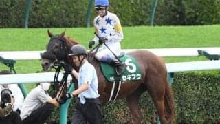 東京ダートはストームキャット系が特注 フェブラリーSは武豊騎手＆セキフウの突っ込みがあるかも