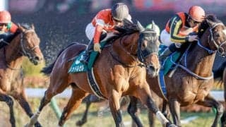 【AI予想・フェブラリーS】多種多様なメンバーで大混戦！ 人工知能は衰え知らずのベテランに◎