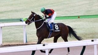 【金蹄S】ルメール「この先も楽しみ」クールミラボーがオープン入り