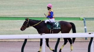 【ダイヤモンドS】菱田「（サリエラを）終始見ながら」テーオーロイヤルが2度目の同レース制覇