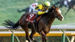 【カタール・アミールT】UAEのレベルスロマンスが完勝、日本勢は2・3・4着