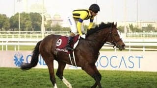 【カタール・アミールトロフィー】日本馬最先着はゼッフィーロの2着…レベルスロマンスが逃げ切る