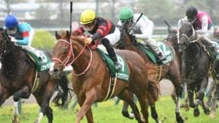 矢作芳人調教師が全10場重賞制覇なるか ホウオウアマゾンで小倉大賞典に参戦