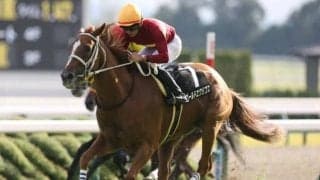 【小倉大賞典予想】多頭数+ハンデ+小回り小倉で激戦必至 カギは「先行して長く使える脚」