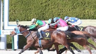 人気割れのフェブラリーＳは高配当が飛び出す予感...穴党記者が推すのは一芸に秀でた２頭