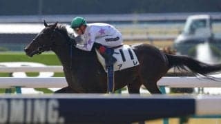 【京都3R】話題の馬アレが「初アレ」を決める