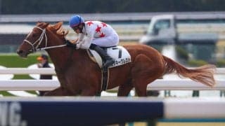 【新馬/京都4R】ミッキークレストが4馬身差圧勝