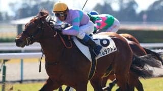 【京都6R】ナムラアトムが大外一気を決める