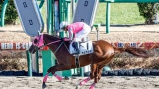 【フェブラリーS予想】狙うなら「逃げ馬」「追い込み馬」どっち？ 過去10年データから探るフェブラリーS