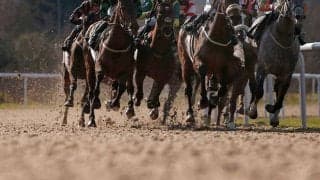 【フェブラリーS／馬場情報】“パサパサ”の東京ダート　パワー優先で好走馬の共通項は…