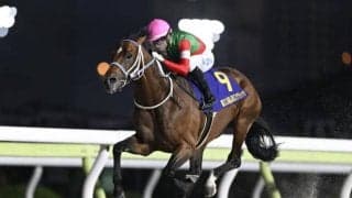 東京ダートは米国血統＆大型馬に注目 キングズソード＆タガノビューティーで中穴狙い