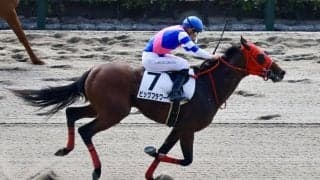 【新馬/東京3R】ムルザバエフ騎乗、ビッグフラワーが人気に応える