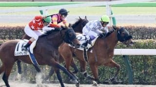 【東京1R】武豊騎乗、良血ローリーグローリーが初勝利
