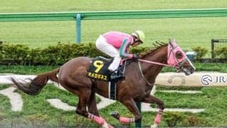 【フェブラリーS・馬体重】オメガギネスは496kg(+2)、ウィルソンテソーロは484kg(-3)