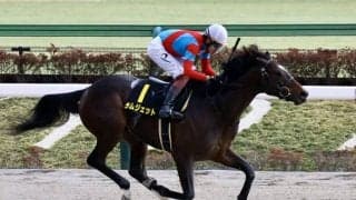 【ヒヤシンスS】ラムジェットがスタート出負けも3馬身差完勝