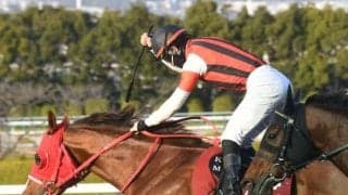 【阪急杯】ウインマーベル、スマートクラージュらが登録