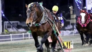 【ばんえい・チャンピオンC】アオノブラックが2度目の制覇…金田騎手「有利な条件で期待する部分あった」