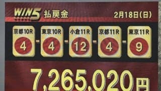 WIN5は700万円超えの払戻し…フェブラリーSはペプチドナイルVで波乱
