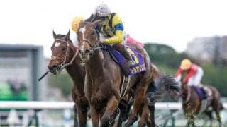 JRAで2重賞と日本馬多数出走のサウジカップデー/今週の競馬界の見どころ