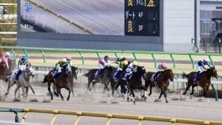 【フェブラリーS】ルメール「伸びきれませんでした」レース後ジョッキーコメント