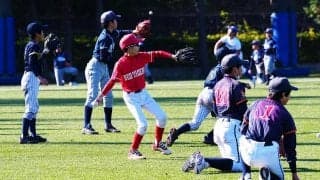 親子で“失敗しない”野球チームの選び方　「出番多くてうんざり」に陥らない質問事項