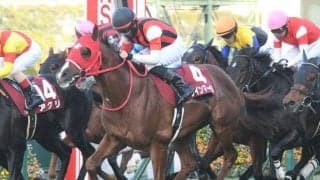 【阪急杯見どころ】実績上位のウインマーベルが主役