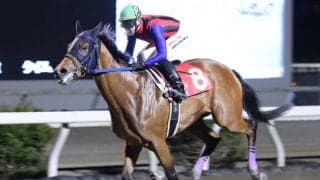 【高知・土佐有楽特別】無敗シンメデージーが5馬身差圧勝…吉原「底を見せていない」