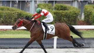 【先週のJRA抹消馬】4億円馬ダノンマイソウル、芝・ダ双方で活躍シャイニーロックなど