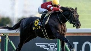 藤田晋オーナーの“5億円馬”が中山記念に挑む 6回目の重賞挑戦で今度こそ