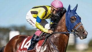 【中山記念想定騎手】ソールオリエンスは田辺裕信騎手、エルトンバローズは西村淳也騎手