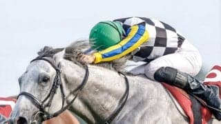 「初ダート」でも適性抜群 ガイアフォースの好走理由は血統にあり