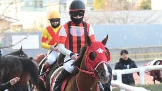 【阪急杯想定騎手】ウインマーベルは松山弘平騎手、ダノンティンパニーはA.ルメートル騎手