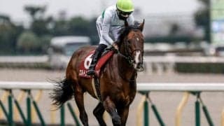 【中山記念展望】前走・初GI挑戦で健闘したエルトンバローズに注目