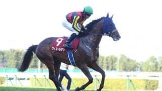 ノーザンファームの「推し種牡馬」を分析 手厚いサポートを受ける注目の一頭とは？