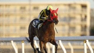 【浦和・ユングフラウ賞枠順】昨年のエーデルワイス賞2着馬スティールマジックは5枠6番