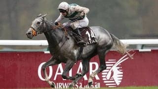 22年凱旋門賞馬アルピニスタに初仔が誕生 父ドバウィの牝馬