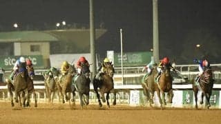 馬にもパスポートあるって本当？ 2月20日「旅券の日」にちなんで調べてみた