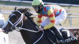 父子タッグでの阪急杯Vなるか 斎藤誠師と斎藤新騎手のコンビに注目