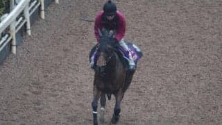 リバティアイランドなど、先週の入厩情報/栗東トレセンニュース