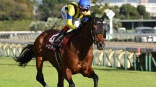 武豊騎手が中山記念20年ぶりVなるか 名繁殖ソーマジックの仔と2週連続勝利へ