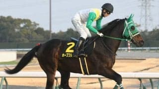 原優介騎手が阪急杯でJRA重賞初制覇なるか 大穴でも侮れない人馬が初タッグ