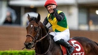 M.デムーロ騎手18年連続JRA重賞制覇へ 舞台巧者エエヤンと中山記念参戦