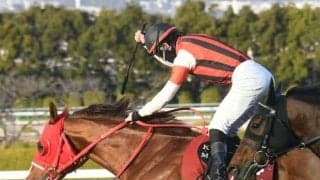 【阪急杯予想オッズ】ウインマーベルが予想1番人気