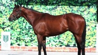 『前走から一変』にふさわしく別馬のように成長 中山記念でGI馬撃破へ